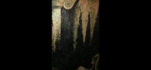 Somewhere in my dreams